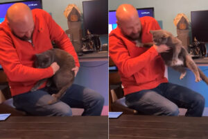 男性の膝の上でくつろぐ猫。男性が立ち上がろうとすると「絶対にはなれたくニャい！」とばかりにアピールします！！