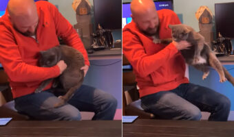 男性の膝の上でくつろぐ猫。男性が立ち上がろうとすると「絶対にはなれたくニャい!」とばかりにアピールします!!