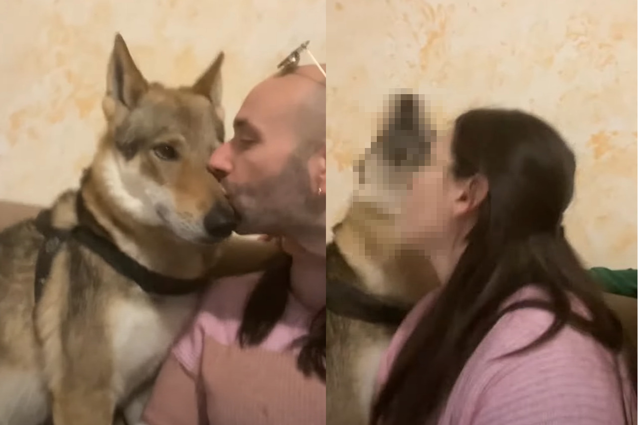愛犬はパパさんが大好き!パパさんがキスしようとすると大喜びなのに、続けてママさんもキスをしようとしたら・・【海外・動画】