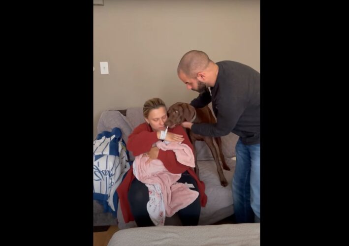 生まれたばかりの赤ちゃんとの初対面で喜びの愛犬！嬉しさが爆発していて飼い主さんがなだめても興奮しっぱなし！！