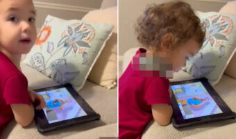 肩に乗せて遊んでいる姿がとってもキュート！2歳児のベストフレンドは予想外のペットだった！