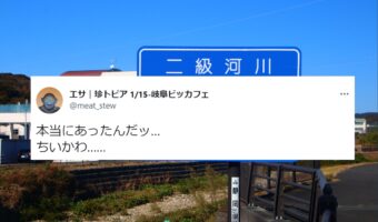 あの大人気の「ちいかわ」が川として実在していただと!?静岡県に実在する川が話題に!