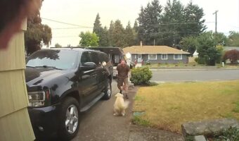 配達員さんに挨拶したい!置き配して車に戻る配達員さんを追いかけて、愛犬は外に出ると全力で走っていきます!!