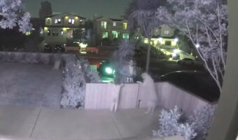 大好きなパパを待つ姿がかわいすぎる！パパさんの帰宅に感づいた愛犬は遠吠えを、それに反応して赤ちゃんはぴょんぴょん跳ねてお迎えしています