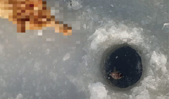 アイスフィッシングを楽しんでいたら・・、突如現れた『ある動物』が一瞬の隙を突いて獲物を横取りしていくというハプニングが!!【海外・動画】