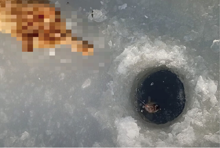 アイスフィッシングを楽しんでいたら・・、突如現れた『ある動物』が一瞬の隙を突いて獲物を横取りしていくというハプニングが！！【海外・動画】
