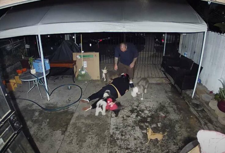 犬好きにはたまらない！？走り始めた途端に激しく転倒した飼い主さんを、愛犬たちが囲んだり乗っかっていき・・！！