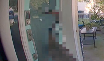 玄関の前にやってきて、「誰かいませんか?」とばかりにドアをノックする『ある生き物』。その姿は日本人に「恩返しに来たの?」と思わせます