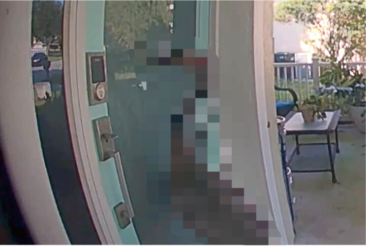 玄関の前にやってきて、「誰かいませんか？」とばかりにドアをノックする『ある生き物』。その姿は日本人に「恩返しに来たの？」と思わせます