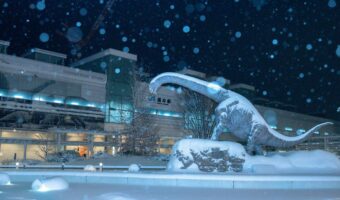 寒波に襲われた福井駅が完全に氷河期だと話題に！！「幻想的で素敵！」「絶滅してしまいそうな風景ですね」