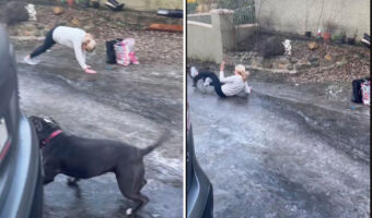 凍った道は滑って大変!?しかもそれが坂道だったら・・、家まで後ちょっとの距離が遠すぎる!!【海外・動画】