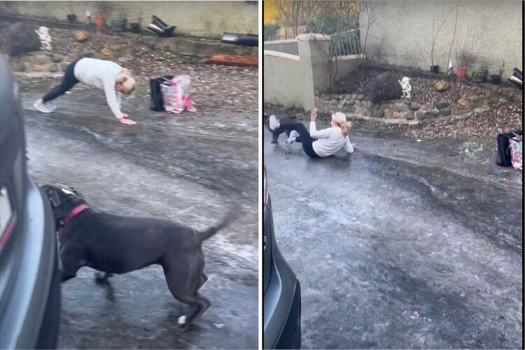 凍った道は滑って大変！？しかもそれが坂道だったら・・、家まで後ちょっとの距離が遠すぎる！！【海外・動画】