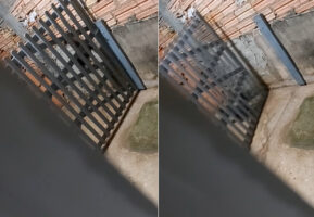 まさかの脱出劇！外に遊びに行きたいダックスフンドは、ゲートのある不具合に気が付いたようです