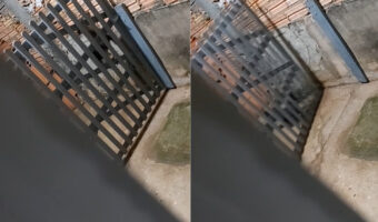 まさかの脱出劇！外に遊びに行きたいダックスフンドは、ゲートのある不具合に気が付いたようです