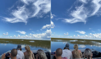 エバーグレーズ国立公園を走るエアボート。広大な湿原を行く光景が実に爽快！！【アメリカ・動画】