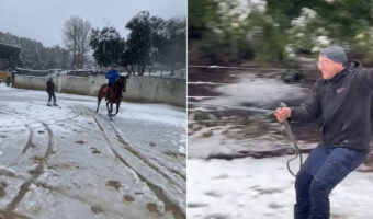 雪が積もった後、外を駆ける馬。その後ろにはスキーに乗って曳いてもらっている男性の姿が!【海外・動画】