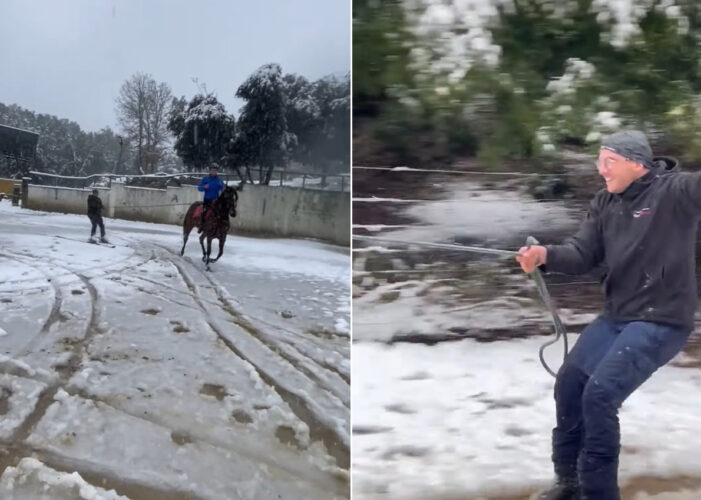 雪が積もった後、外を駆ける馬。その後ろにはスキーに乗って曳いてもらっている男性の姿が！【海外・動画】