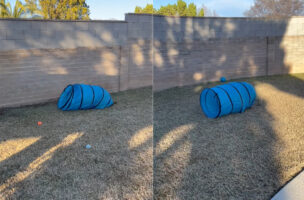 庭をバタバタ動くチューブトンネル。強い風でも吹いているのかと思いきや、動いていた理由が微笑ましかった！！【アメリカ・動画】