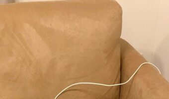 「帰ったら猫がお尻から充電されてた」まるで充電されているような猫が可愛すぎると話題に！有線のマウスにも見える！？