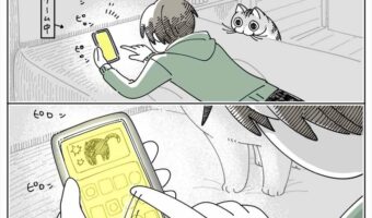 スマホをいじるのは許されない!?“しっぽを巻きつけてくる猫”を表現した漫画が話題に!「動かしちゃダメー!が可愛すぎる」