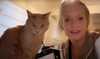 盛れ顔で一枚!気怠げにうつむく猫に写真を撮るよと声をかけると・・しっかりカメラ目線な上目遣いを披露!!【アメリカ・動画】