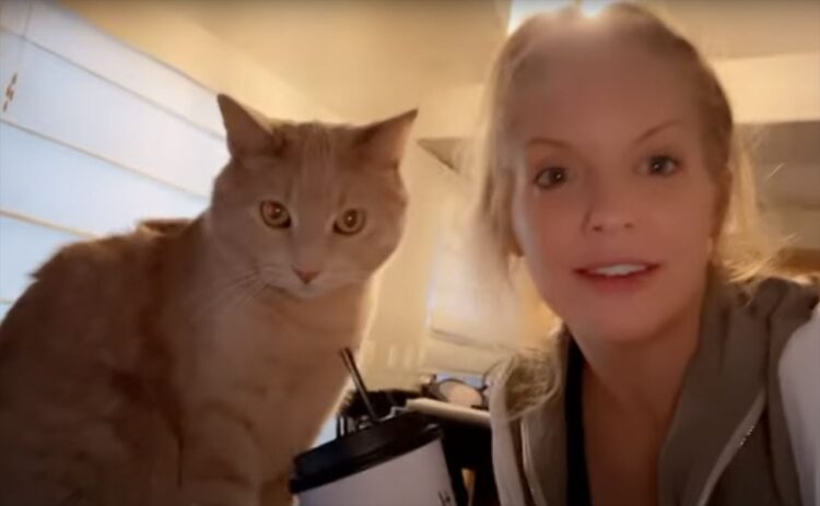 盛れ顔で一枚！気怠げにうつむく猫に写真を撮るよと声をかけると・・しっかりカメラ目線な上目遣いを披露！！【アメリカ・動画】