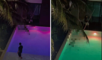 ナイトプールを楽しみたいのは人間だけじゃない！？プールの中にいた巨大な『ある生き物』の姿に仰天！！【海外・動画】