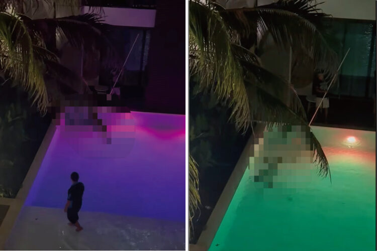 ナイトプールを楽しみたいのは人間だけじゃない！？プールの中にいた巨大な『ある生き物』の姿に仰天！！【海外・動画】