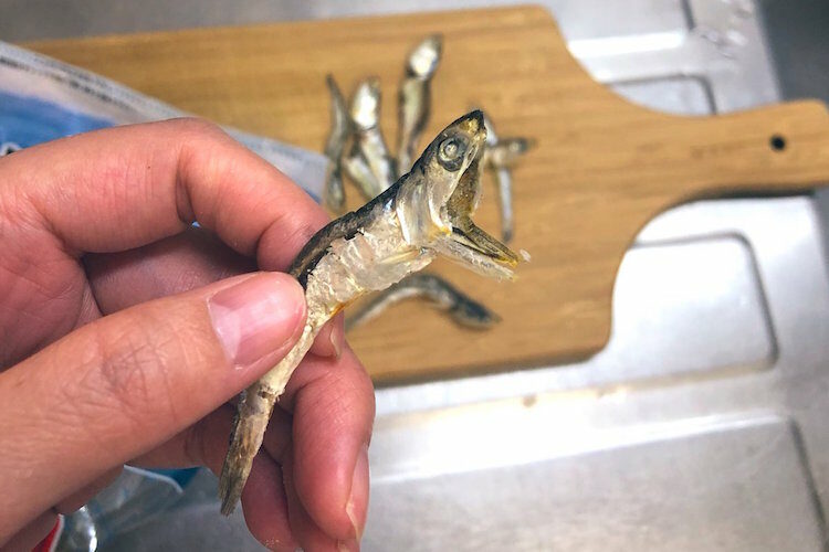 「あああああぁぁあぁ～～～！！」煮干しが叫んでいるようにしか見えない