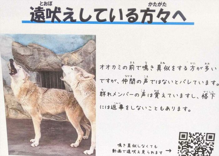 「オオカミの前で鳴き真似をする方が多いですが・・・」天王寺動物園に掲出されていたお知らせの看板が話題に！