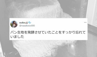 パン生地を発酵させていたことをすっかり忘れて放置していて、電子レンジを開けたら凄いことになっていた!!