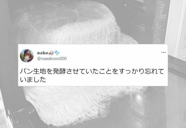 パン生地を発酵させていたことをすっかり忘れて放置していて、電子レンジを開けたら凄いことになっていた！！