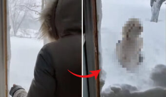 積もりすぎぃ!!大寒波の後ひさしぶりにドアを開けたら、まわりが一面銀世界に!!そこで一歩外に出てみたところ・・
