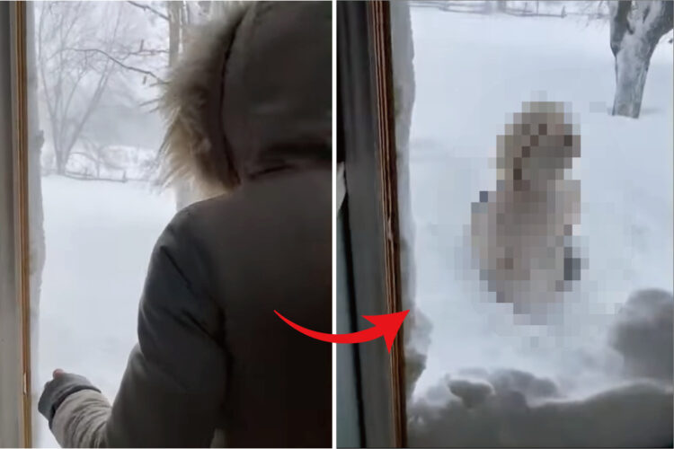 積もりすぎぃ！！大寒波の後ひさしぶりにドアを開けたら、まわりが一面銀世界に！！そこで一歩外に出てみたところ・・