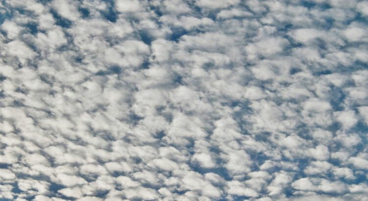 魚の鱗を思わせる「うろこ雲」が空に見えるのはどの季節？