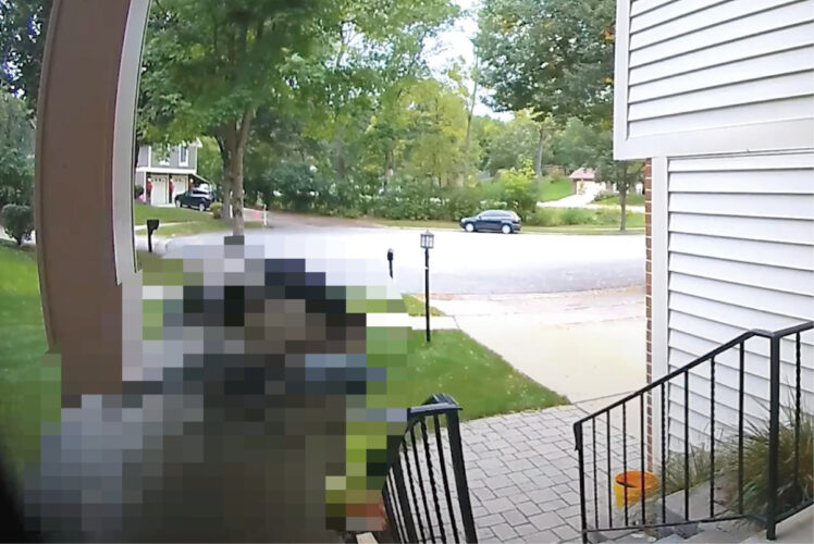 ピンポンダッシュをされたと思ってカメラを確認したら・・、とってもかわいい『珍しいお客さん』が、来ていたことが分かりました！！