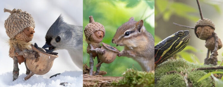 まるでおとぎ話の世界！どんぐりの人形と野生生物の写真が素敵すぎる！
