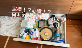 なんでここ開いてるの？開けた記憶のない引き出しが開けっぱなしに！よく見ると中には可愛い犯人が隠れてた！