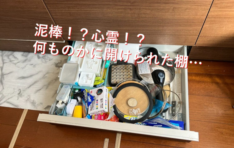 なんでここ開いてるの？開けた記憶のない引き出しが開けっぱなしに！よく見ると中には可愛い犯人が隠れてた！