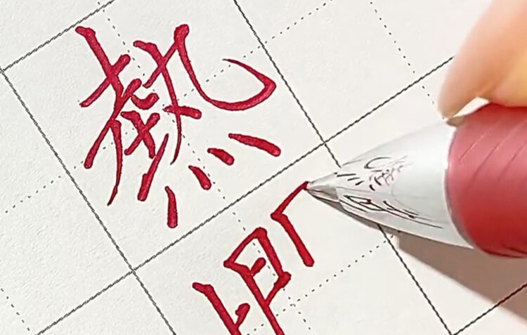是非動画で見てほしい！見ていて気持ちいい！普通のボールペンで書いてるだけなのに！美しすぎるボールペン字