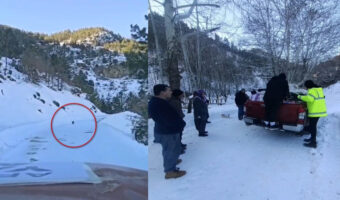 トルコ地震で分断された村への救援物資を届けるチームが道に迷う、救ったのは村から来た1匹の犬だった!