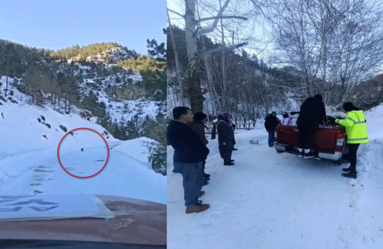 トルコ地震で分断された村への救援物資を届けるチームが道に迷う、救ったのは村から来た1匹の犬だった！