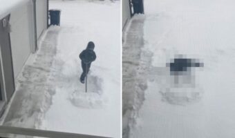 雪かきのお手伝いを買って出た女の子。ところが思ったよりも大変だったらしく・・、素直なリアクションを見せました!【アメリカ・動画】