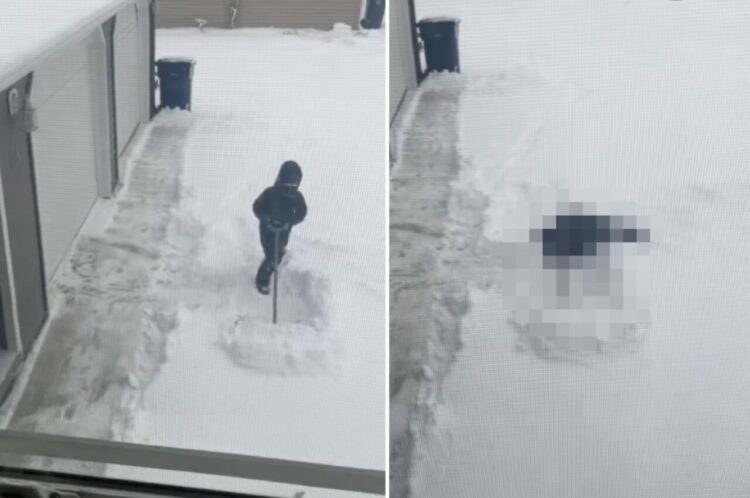雪かきのお手伝いを買って出た女の子。ところが思ったよりも大変だったらしく・・、素直なリアクションを見せました！【アメリカ・動画】
