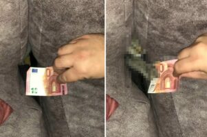 こんな貯金箱見たことある！飼い主さんがソファの溝にお札を置くと、隠れていた愛猫が前足を伸ばしてそのお札を・・！！