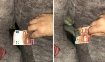 こんな貯金箱見たことある!飼い主さんがソファの溝にお札を置くと、隠れていた愛猫が前足を伸ばしてそのお札を・・!!