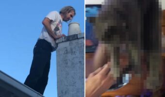 屋根にのぼって煙突の中を覗く男性。なんと、この中に落ちてしまった子がいるみたい!必死の救助活動が始まります