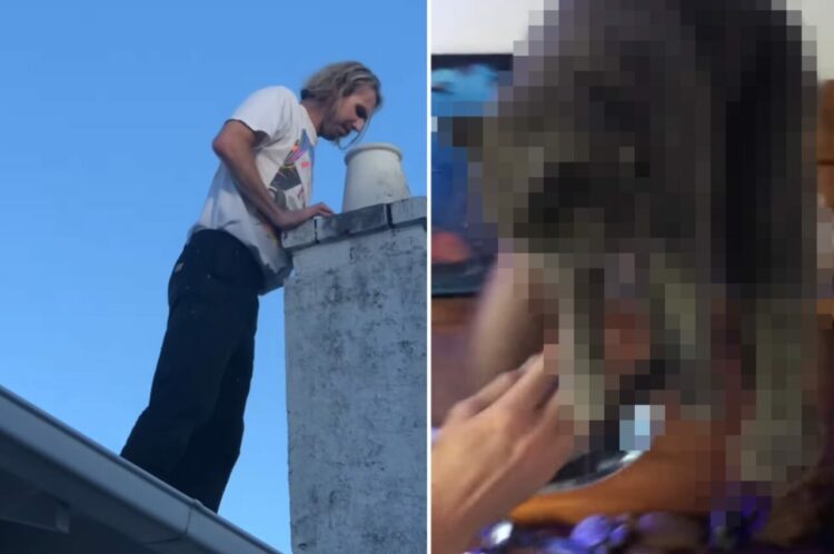 屋根にのぼって煙突の中を覗く男性。なんと、この中に落ちてしまった子がいるみたい！必死の救助活動が始まります