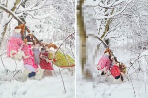 寒さに負けることなく木の枝を奪い合う犬たち。しかし、誰も勝利を手にすることはできないでしょう。なぜならその木の枝は・・