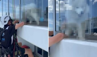 掃除中に手を止めてしまった高所清掃作業員さん。作業が中断したその理由は、ガラスの向こうに!!【海外・動画】